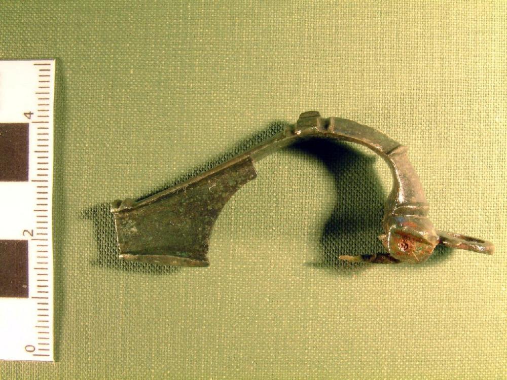 Fibula ch.jpg